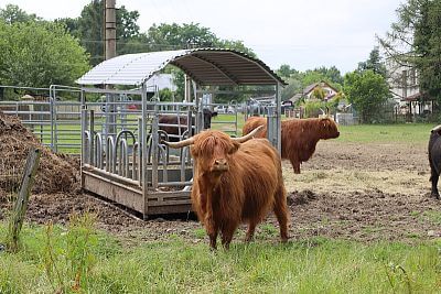 Chytrá Farma v podhorí Beskýd na Farme u Velšů