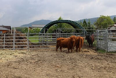 Chytrá Farma v podhorí Beskýd na Farme u Velšů