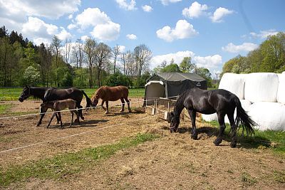Smart Farm spríjemňuje každodenný život na ranči Coldriver