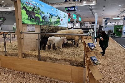 Účasť na svetovom veľtrhu EuroTier 2022