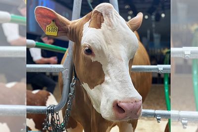 Účasť na svetovom veľtrhu EuroTier 2022