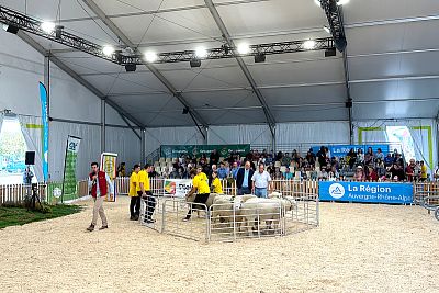 Účasť na Sommet de l'Elevage 2023