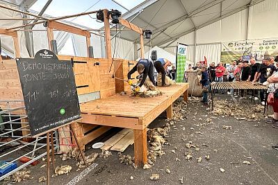 Účasť na Sommet de l'Elevage 2023