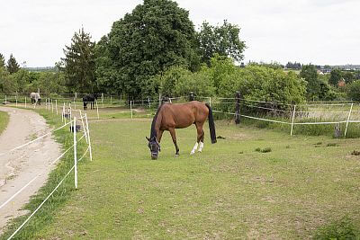 Spustenie systému Smart Farm na ranči Zdeňky Pohlreichovej