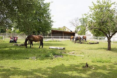 Spustenie systému Smart Farm na ranči Zdeňky Pohlreichovej