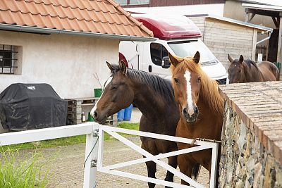 Spustenie systému Smart Farm na ranči Zdeňky Pohlreichovej