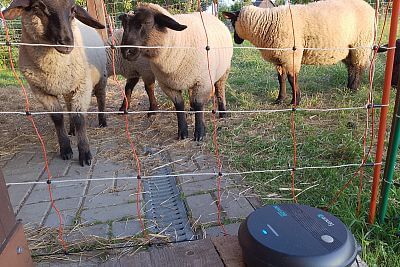 "Hľadal som mobilný generátor elektrického ohradníka pre ovce pre 6 sietí"
hovorí pán Nieslanik