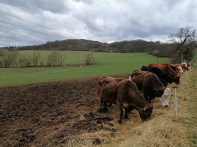"Už žiadny elektrický plot bez diaľkového ovládania"

hovorí Pavel Pech

