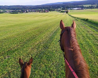 "Vďaka plotovému generátoru môžem byť celý deň pokojný"

hovorí spokojná zákazníčka Daniela
