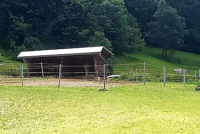 "Veľkou výhodou je diaľkové ovládanie, ktorým môžem ohradník kdekoľvek zapnúť a vypnúť"hovorí Romana Jonová