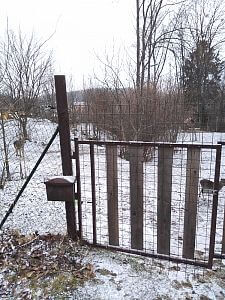 Vyriešenie úteku daniela

Pavel Leibner
