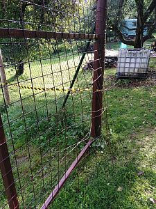 Vyriešenie úteku daniela

Pavel Leibner
