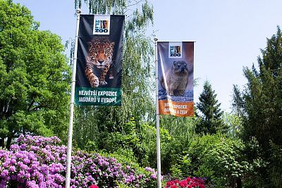 Smart Farm v Zoo Zlín III: Pokračovanie úspešnej spolupráce - Jaguar Trek