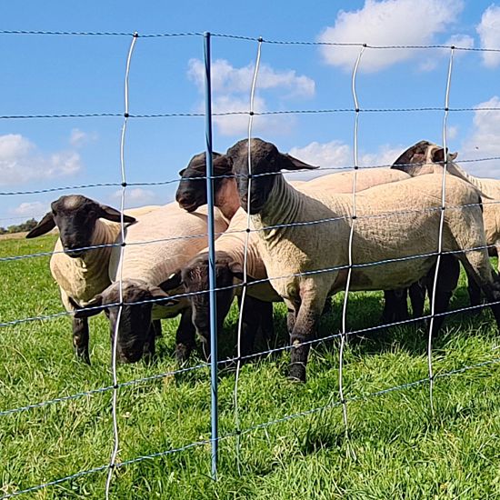 Modrá elektrická sieť pre ohradníky, proti vlkom, výška 122 cm, dĺžka 50 m, dvojitý hrot