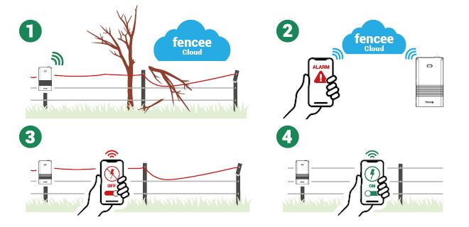 Ako funguje monitor LTE?
