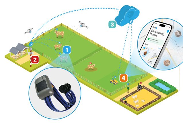 Inteligentné sledovanie zvierat v praxi